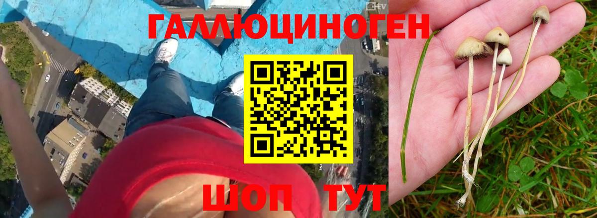 Галлюциногенные грибы GOLDEN TEACHER Малоярославец