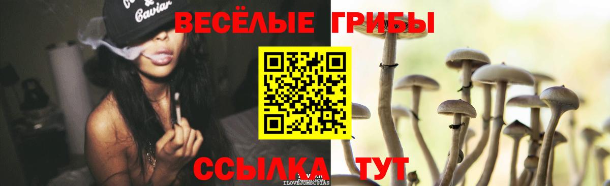 Галлюциногенные грибы MAGIC MUSHROOMS  Вход с VPN  Малоярославец 